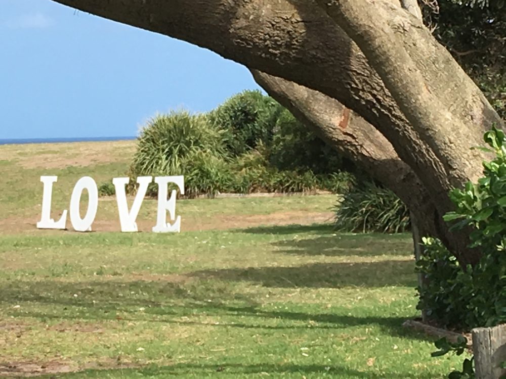 Songs of My Life: November 2015