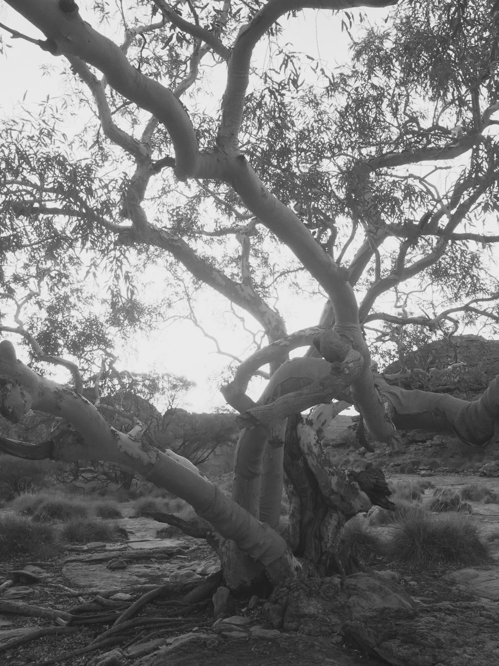 Lost Paradise Review