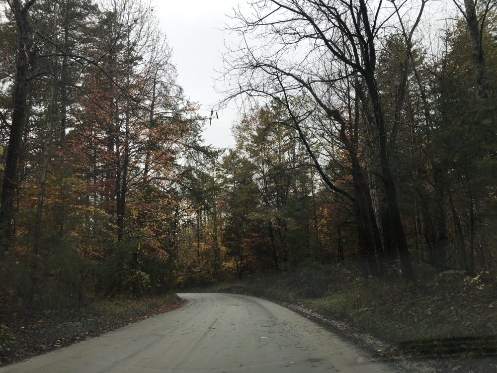 Unpaved Roads: An Ode to Ruth