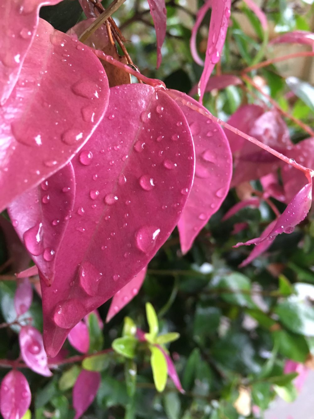 Songs of My Life: July 2016