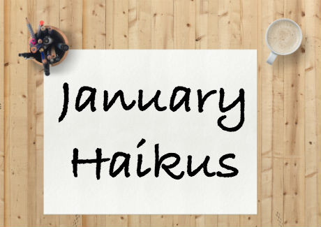 Haikus: January 2017