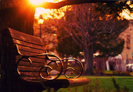 Park Bench Blues