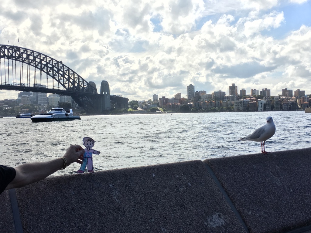 The Adventures of Flat Flowers