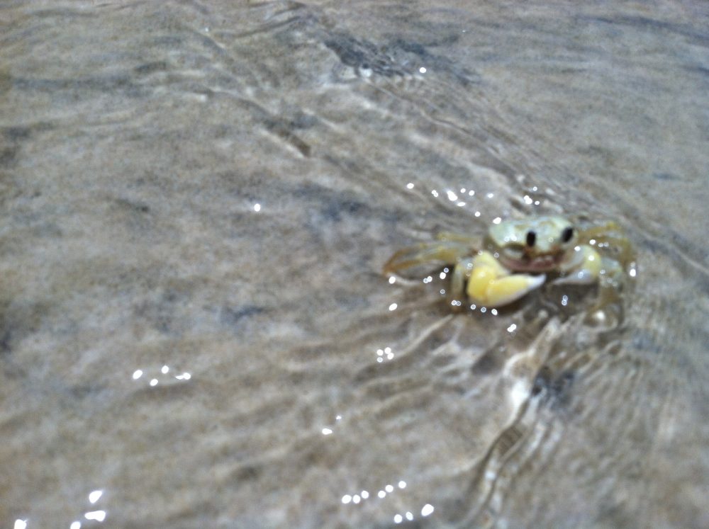 Life Lessons from Jimmy Buffett