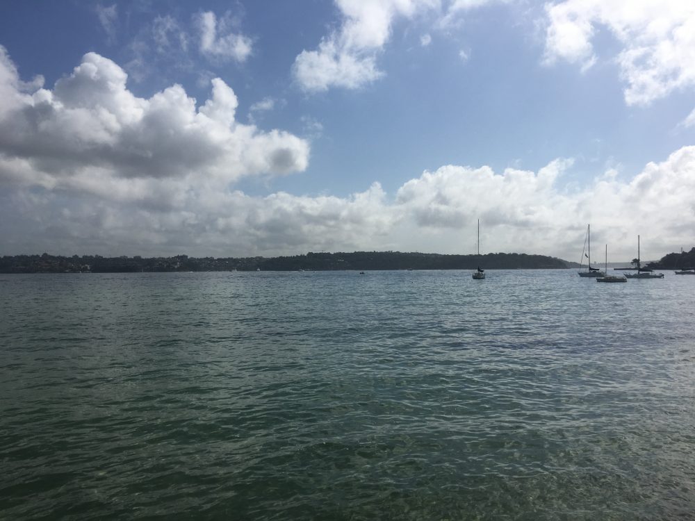 What Belongs in this Universe