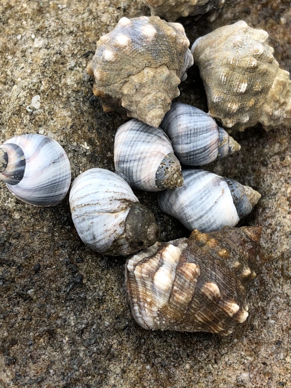 The Voice That Speaks Inside: Part Deux