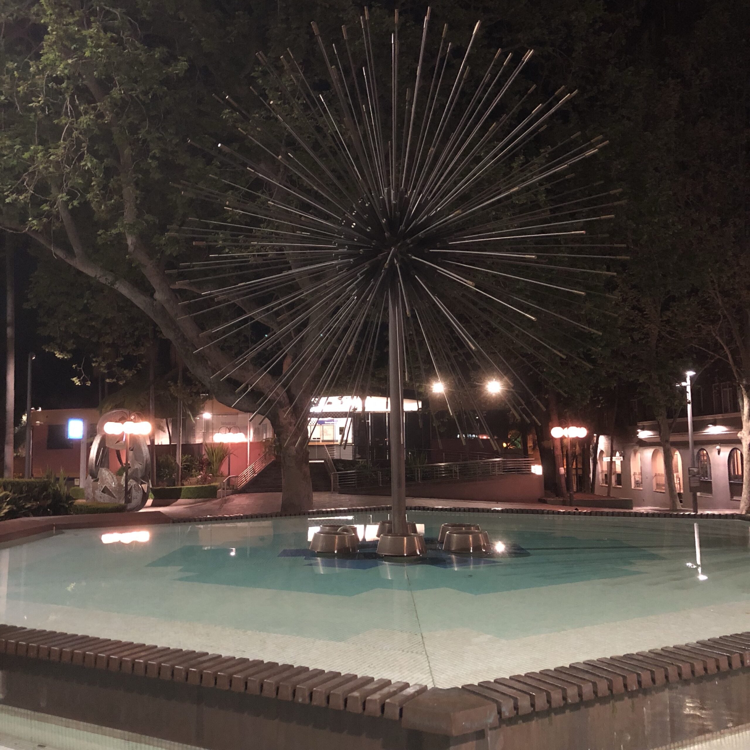 the dandelion is still