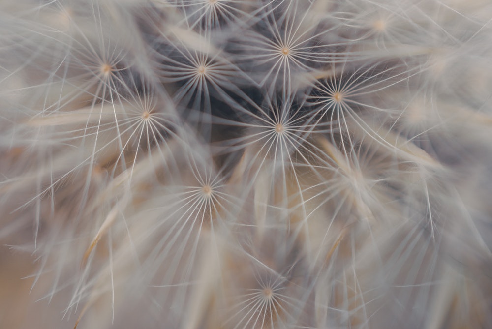 Songs of My Life: June 2019