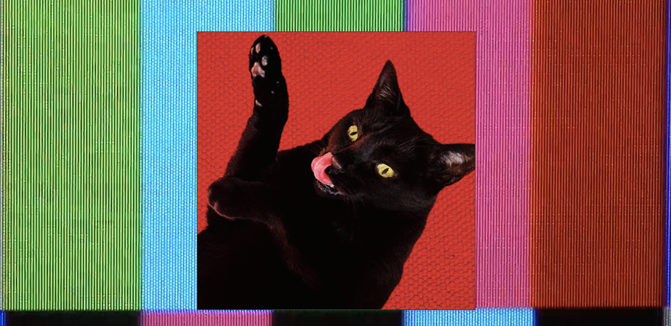 🔥Track: Do Not Disturb by Ryan Adams