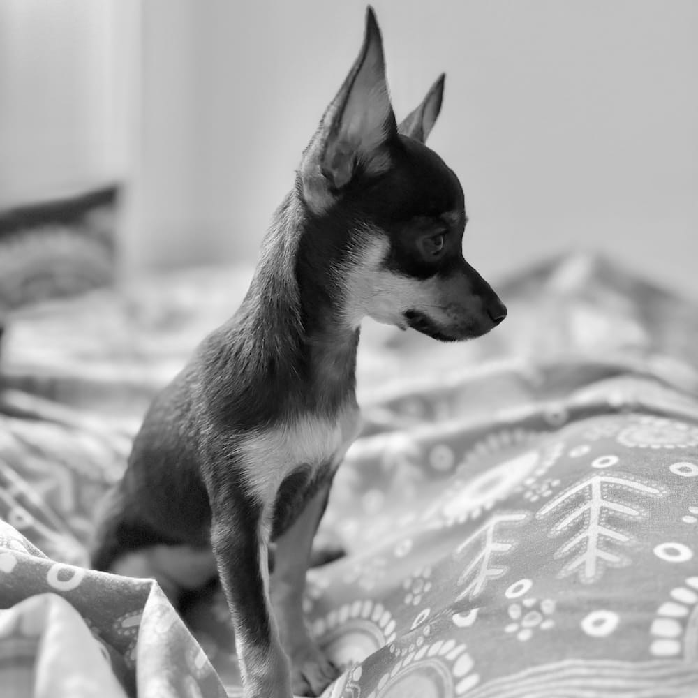 Same, Same, but Different.